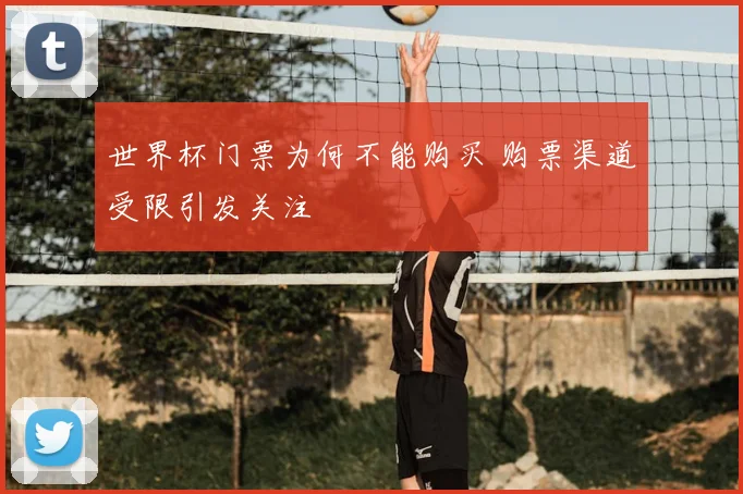 世界杯门票为何不能购买 购票渠道受限引发关注